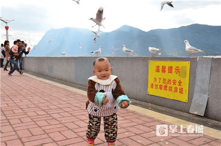 跑出城市新高度 上合昆马赛道秀云南骄傲 跑出城市新高度 上合昆马赛道秀云南骄傲