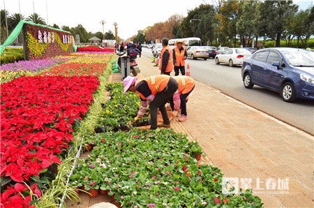 跑出城市新高度 上合昆马赛道秀云南骄傲 跑出城市新高度 上合昆马赛道秀云南骄傲