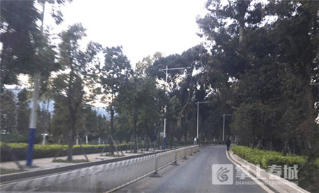 跑出城市新高度 上合昆马赛道秀云南骄傲 跑出城市新高度 上合昆马赛道秀云南骄傲