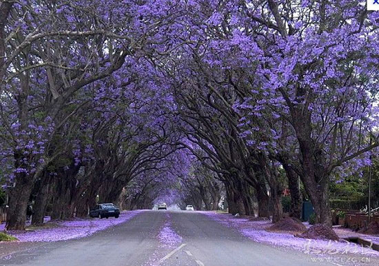 昆明,蓝天,碧水,生态建设,宜居,绿地,公园,我家昆明这五年 昆明,蓝天,碧水,生态建设,宜居,绿地,公园,我家昆明这五年