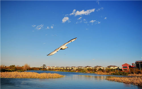 昆明,滇池,水质
