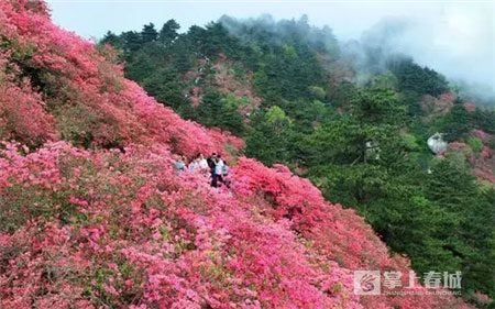 鲜花之城塔城桥城等 昆明居然有这么多实至名归的美名
