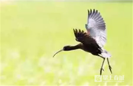 鲜花之城塔城桥城等 昆明居然有这么多实至名归的美名