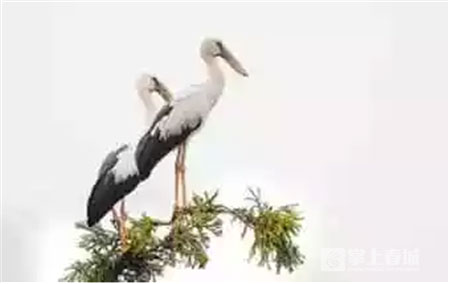 鲜花之城塔城桥城等 昆明居然有这么多实至名归的美名