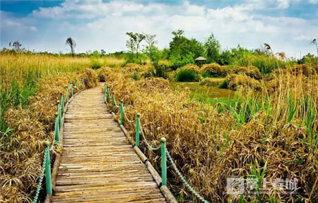 鲜花之城塔城桥城等 昆明居然有这么多实至名归的美名
