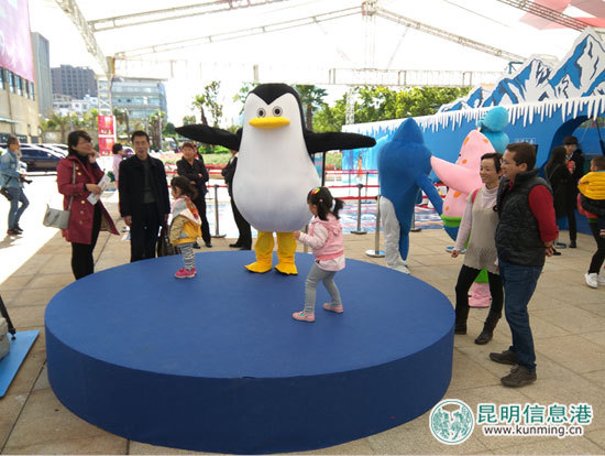 “南极精灵”造访引市民围观