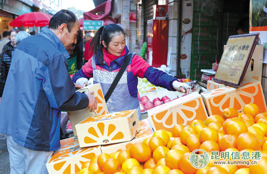 褚橙,价格,供应量 褚橙,价格,供应量