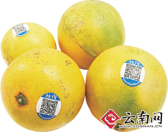 褚橙难求真假难辨 官方：直营店每天到货不超过50件