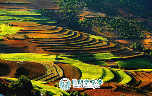 《焦点访谈》专题报道昆明“互联网+扶贫”新模式 《焦点访谈》专题报道昆明“互联网+扶贫”新模式