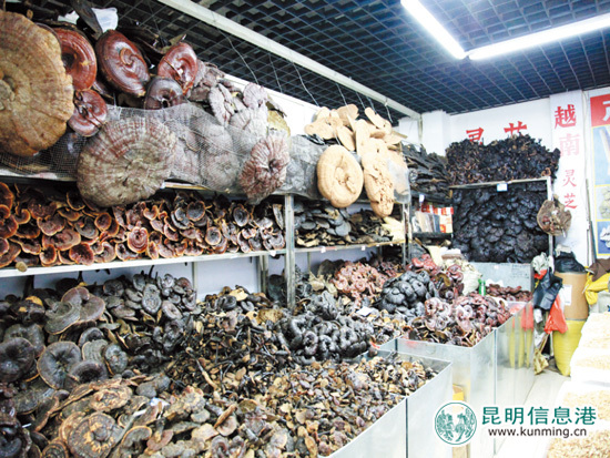 昆明中药材市场违规“代客打粉”被清 将建透明统一粉碎间