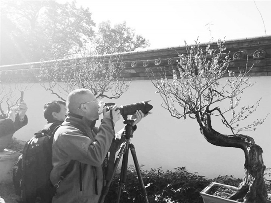 昆明黑龙潭公园3万游客踏梅寻香看非遗 昆明黑龙潭公园3万游客踏梅寻香看非遗