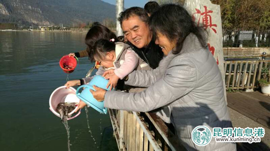 “昆明之美”元旦举行放鱼节 510公斤白鲢鱼苗入滇池