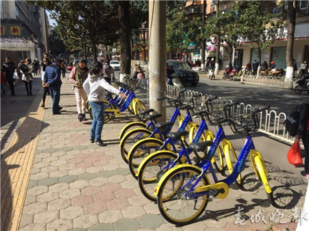 有桩or无桩？让人操碎了心的昆明共享自行车