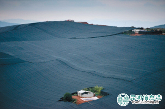 云南将把文山三七打造成全国中药材第一大品牌 云南将把文山三七打造成全国中药材第一大品牌