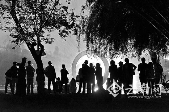 大官公园,夜景,摄影大赛 大官公园,夜景,摄影大赛