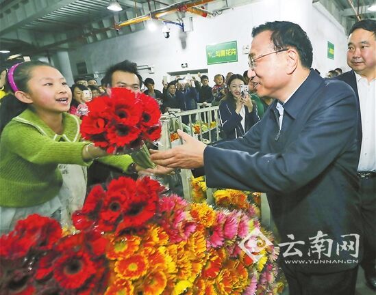 总理情牵彩云南 总理情牵彩云南