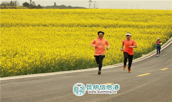 3月到罗平 看花海赛道上的马拉松和自行车赛 3月到罗平 看花海赛道上的马拉松和自行车赛