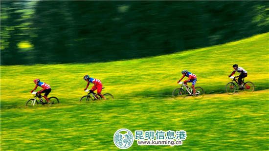 3月到罗平 看花海赛道上的马拉松和自行车赛 3月到罗平 看花海赛道上的马拉松和自行车赛