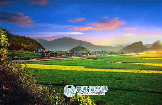 3月到罗平 看花海赛道上的马拉松和自行车赛 3月到罗平 看花海赛道上的马拉松和自行车赛