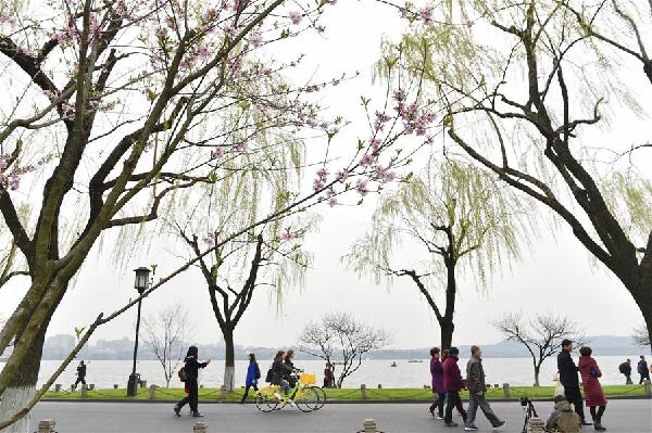 杭州,西湖,美景 杭州,西湖,美景