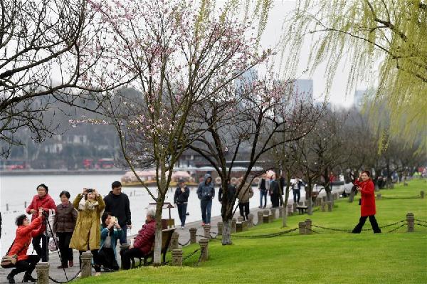 杭州,西湖,美景 杭州,西湖,美景