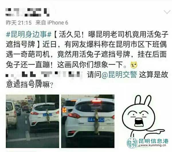 交警,昆明,车牌 交警,昆明,车牌