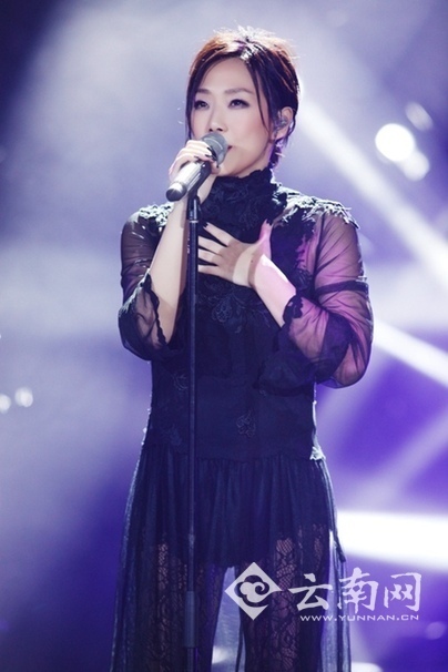 林忆莲唱响昆明 林忆莲唱响昆明