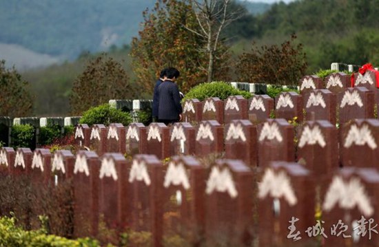 清明节前嵩明长松园推出花葬草坪葬 50个生态墓免费