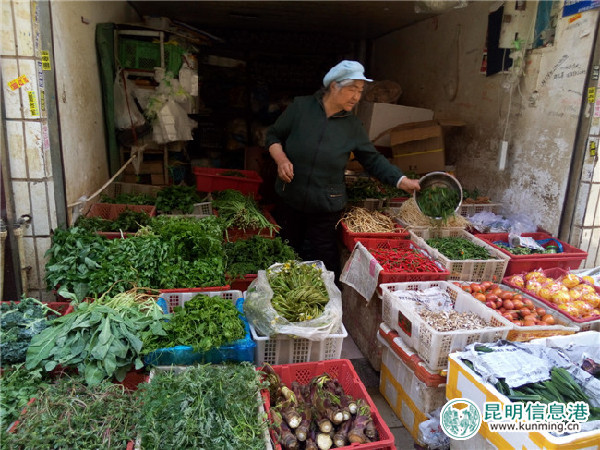 野菜,种类,香椿 野菜,种类,香椿