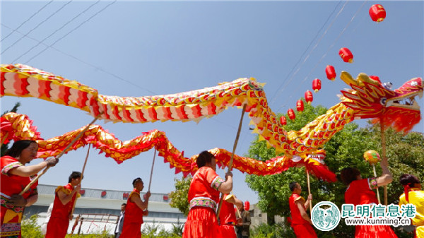 晋宁,米线,花瓣