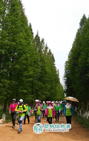 最美滇池·公益徒步环滇活动第二站在斗南启动 最美滇池·公益徒步环滇活动第二站在斗南启动