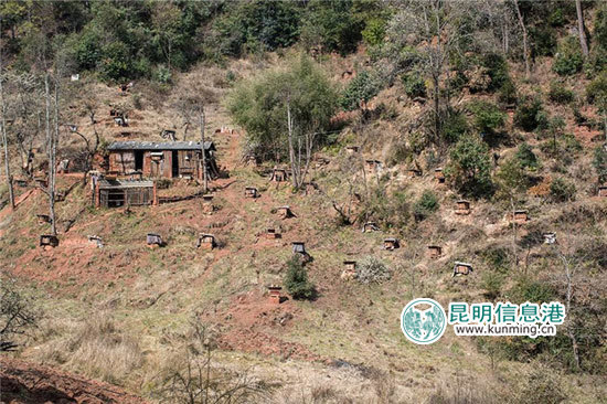 老君山脚有个村子,玉龙纳西族自治县九河白族乡中合村。 老君山脚有个村子,玉龙纳西族自治县九河白族乡中合村。