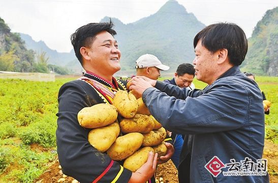 朱有勇院士团队定点帮扶澜沧县脱贫攻坚纪实 朱有勇院士团队定点帮扶澜沧县脱贫攻坚纪实