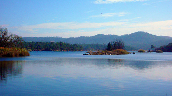 石林,会员卡,游客