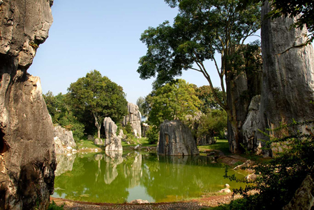 石林,会员卡,游客