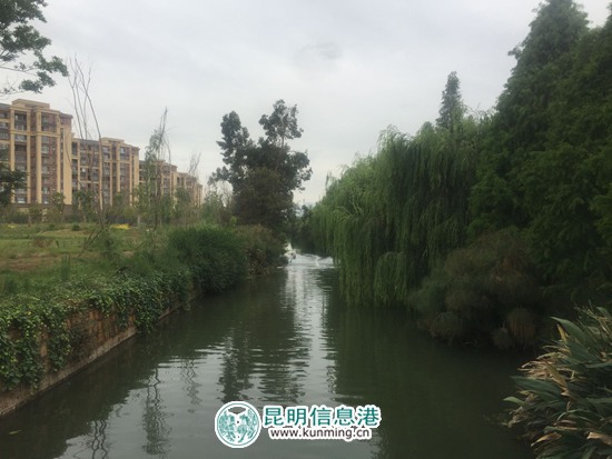 海河(广福路下段)黑臭水体整治工程6月开工 投资2.2亿元 海河(广福路下段)黑臭水体整治工程6月开工 投资2.2亿元