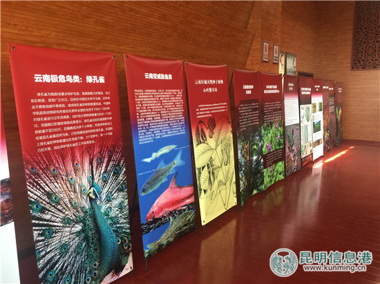 云南发布首个省级生物物种红色名录