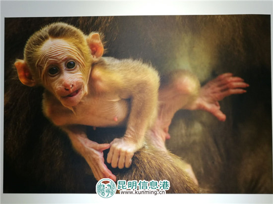 “探索大洋彼岸-美中旅游摄影展”在昆明市博物馆开展 “探索大洋彼岸-美中旅游摄影展”在昆明市博物馆开展