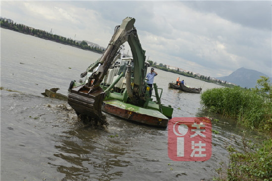 水上挖机对私搭乱建的钓鱼平台和残留木桩进行拆除和取缔