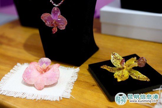 第十八届中国昆明国际花卉展今日开幕 第十八届中国昆明国际花卉展今日开幕