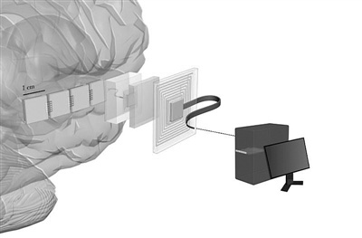 100万个神经元将与计算机直接对话 100万个神经元将与计算机直接对话