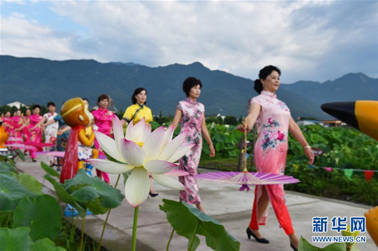 旗袍爱好者在四川省绵竹市九龙镇新龙村荷塘参加旗袍走秀 旗袍爱好者在四川省绵竹市九龙镇新龙村荷塘参加旗袍走秀