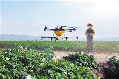 甘肃定西:无人机喷药防虫害 甘肃定西:无人机喷药防虫害