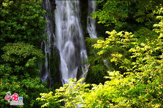 峨眉半月昼晴夜雨 密林避暑空气一级优 峨眉半月昼晴夜雨 密林避暑空气一级优