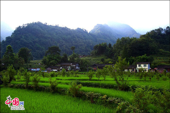 峨眉半月昼晴夜雨 密林避暑空气一级优 峨眉半月昼晴夜雨 密林避暑空气一级优