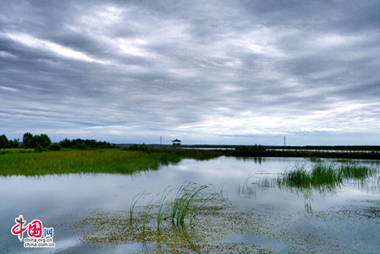 宁夏黄沙古渡景区以生态保护构筑旅游发展基石 宁夏黄沙古渡景区以生态保护构筑旅游发展基石