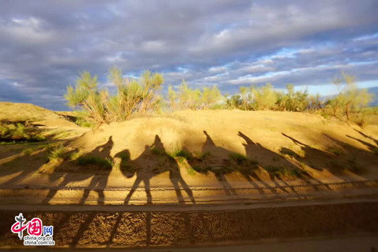 宁夏黄沙古渡景区以生态保护构筑旅游发展基石 宁夏黄沙古渡景区以生态保护构筑旅游发展基石