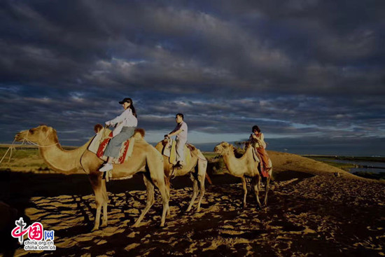 宁夏黄沙古渡景区以生态保护构筑旅游发展基石 宁夏黄沙古渡景区以生态保护构筑旅游发展基石