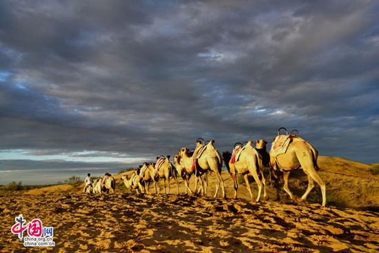 宁夏黄沙古渡景区以生态保护构筑旅游发展基石 宁夏黄沙古渡景区以生态保护构筑旅游发展基石