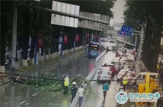 青年路双向交通恢复通行 周边道路车流量大